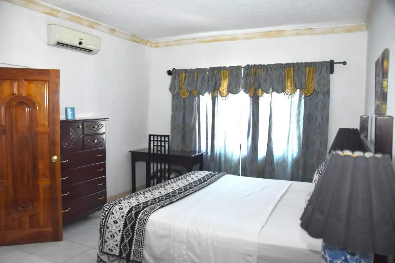 Embassy Deluxe Apartment Kingston